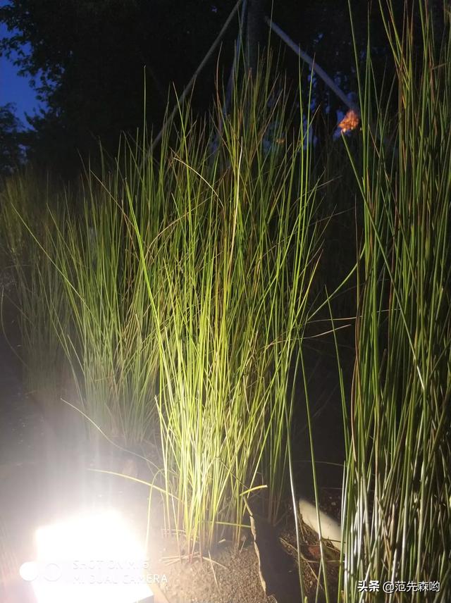 福建花店（福建花卉基地在哪里）