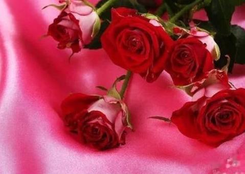 花束包装视频教程（花束包装教学）