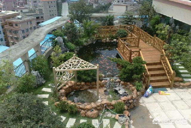 最适合室内水养的植物（最适合室内水养的植物是什么）