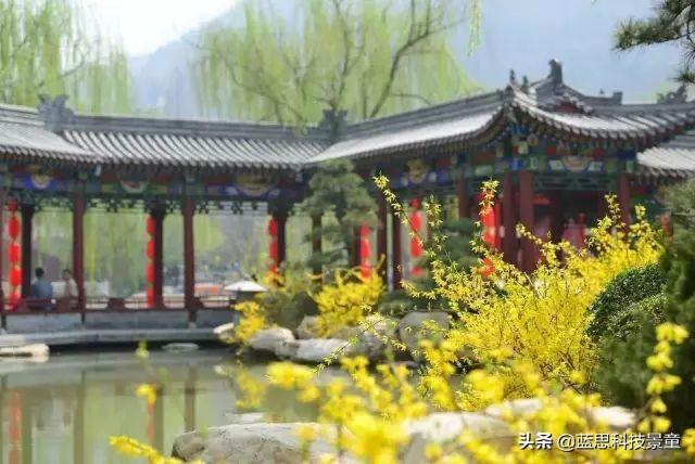 西安网上订鲜花（西安鲜花预订）