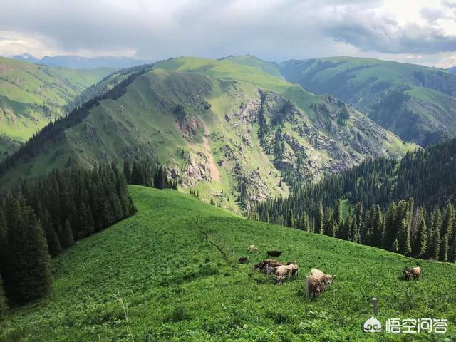 喀什花店送花服务（喀什鲜花批发）