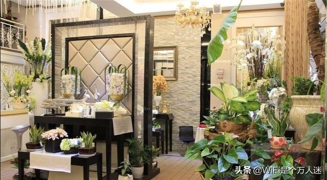 高端品牌花店（高端品牌花店排名）