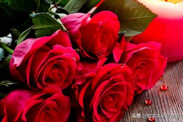 情人节送多少朵花合适（情人节送多少朵花合适女生）