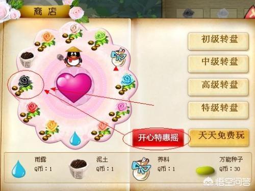 买花种子哪个平台好（买花种子的网站）