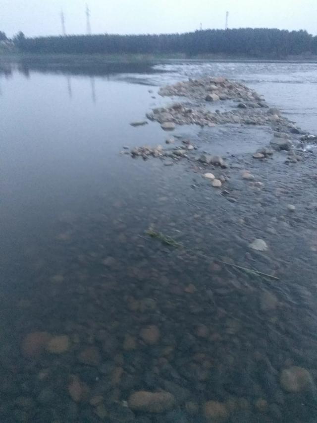 彼岸花的真正故事（彼岸花到底有什么故事）