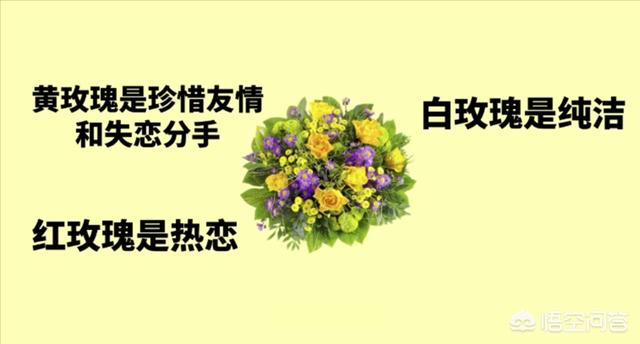 情人节最漂亮的花图片（情人节好看的花）