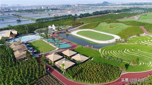 中山花木网（中国(中山)花木产业大会）