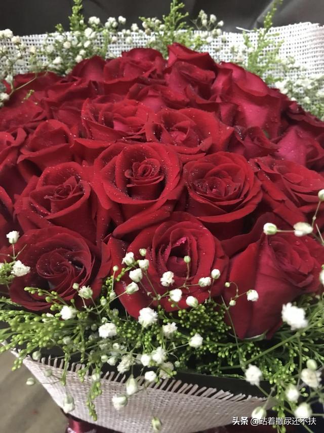 玫瑰33朵花语是什么意思_玫瑰花33朵代表啥意思