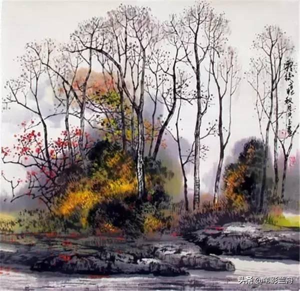 梧桐树高清图片_梧桐树高清图片大全