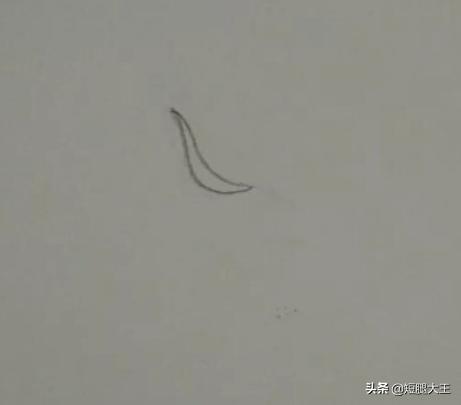 各种花的图片画法_各种花的图片画画