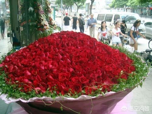 真实玫瑰花束图片大全_真实的玫瑰和蝴蝶的图片