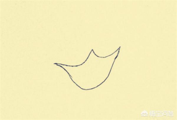 康乃馨的图片简笔画_康乃馨的图画大全