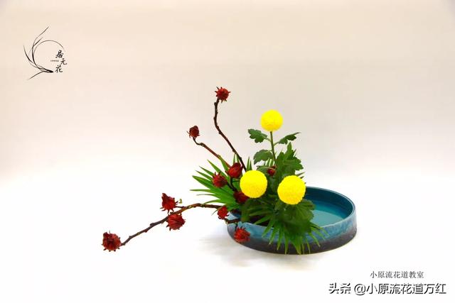 插花作品介绍及欣赏_插花作品介绍及欣赏 寓意