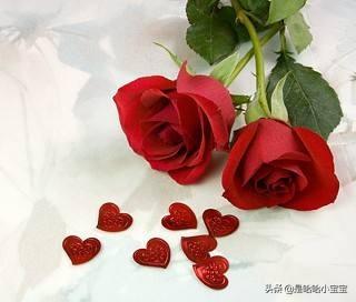 二朵玫瑰不是一般人能接受_二朵玫瑰什么意思