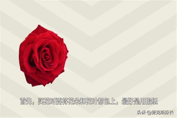 鲜玫瑰花怎样保鲜时间更长一点呢