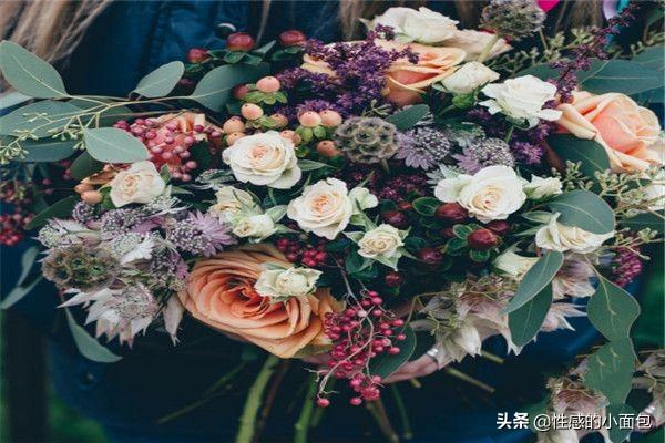 100个常用花语大全（100个常用花语大全图片）