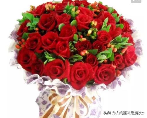 玫瑰花1000朵图片大全（玫瑰花1000朵图片大全大图）