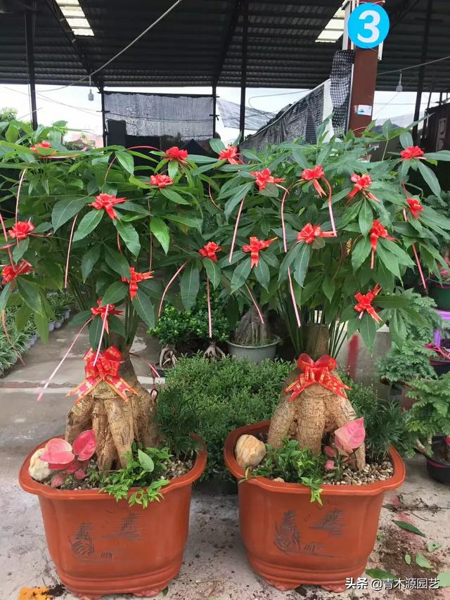 开一家花店挣钱吗（开一家花店的利润怎么样）